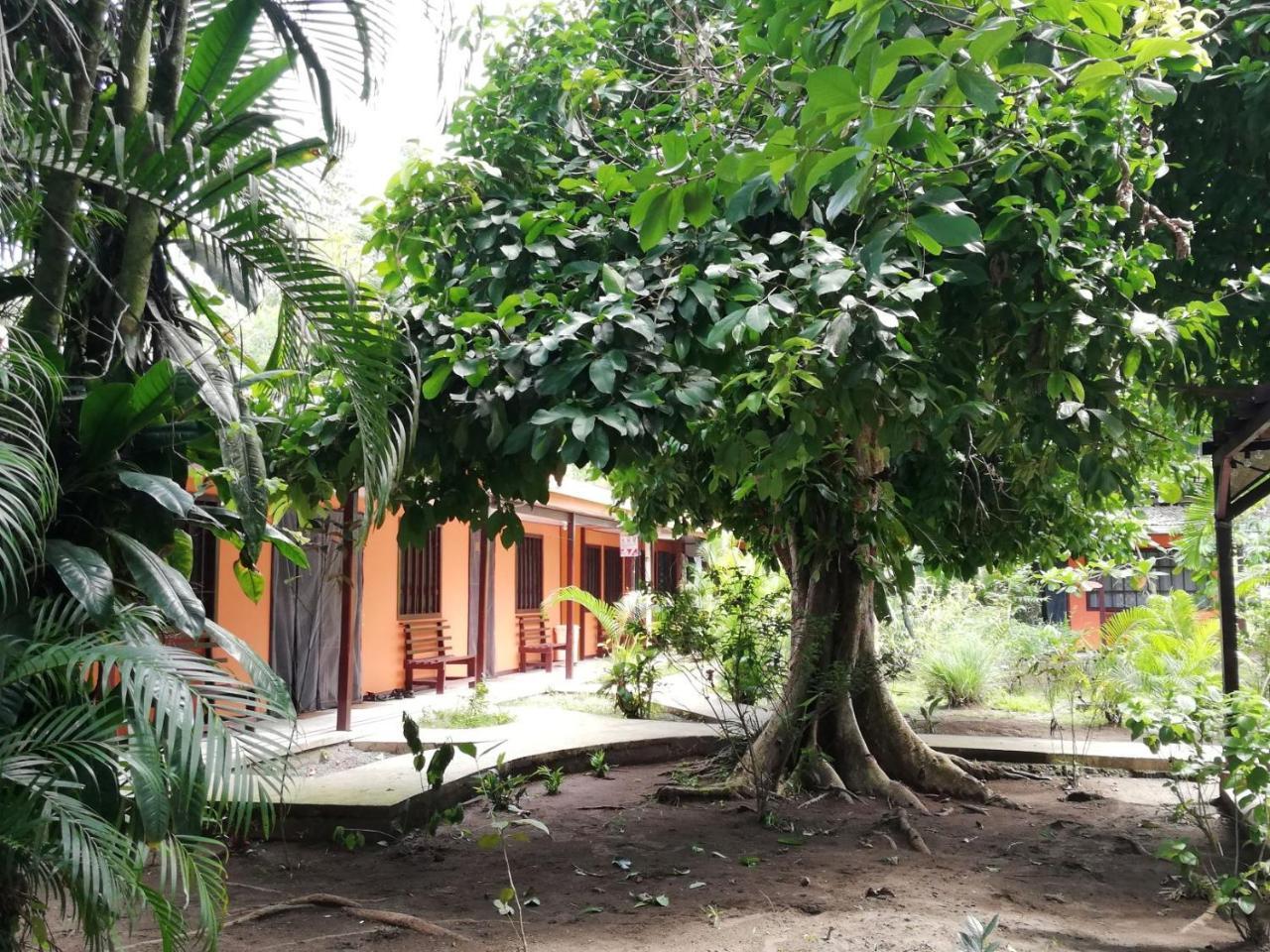 Aracari Garden Hostel Tortuguero Exterior foto